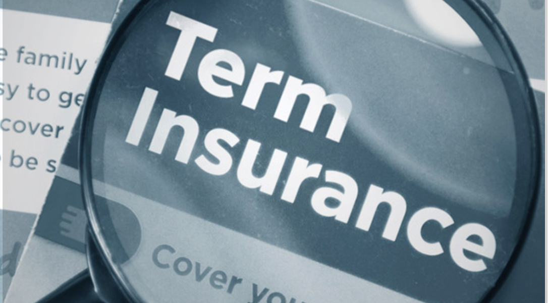 Canada Term Life Insurance