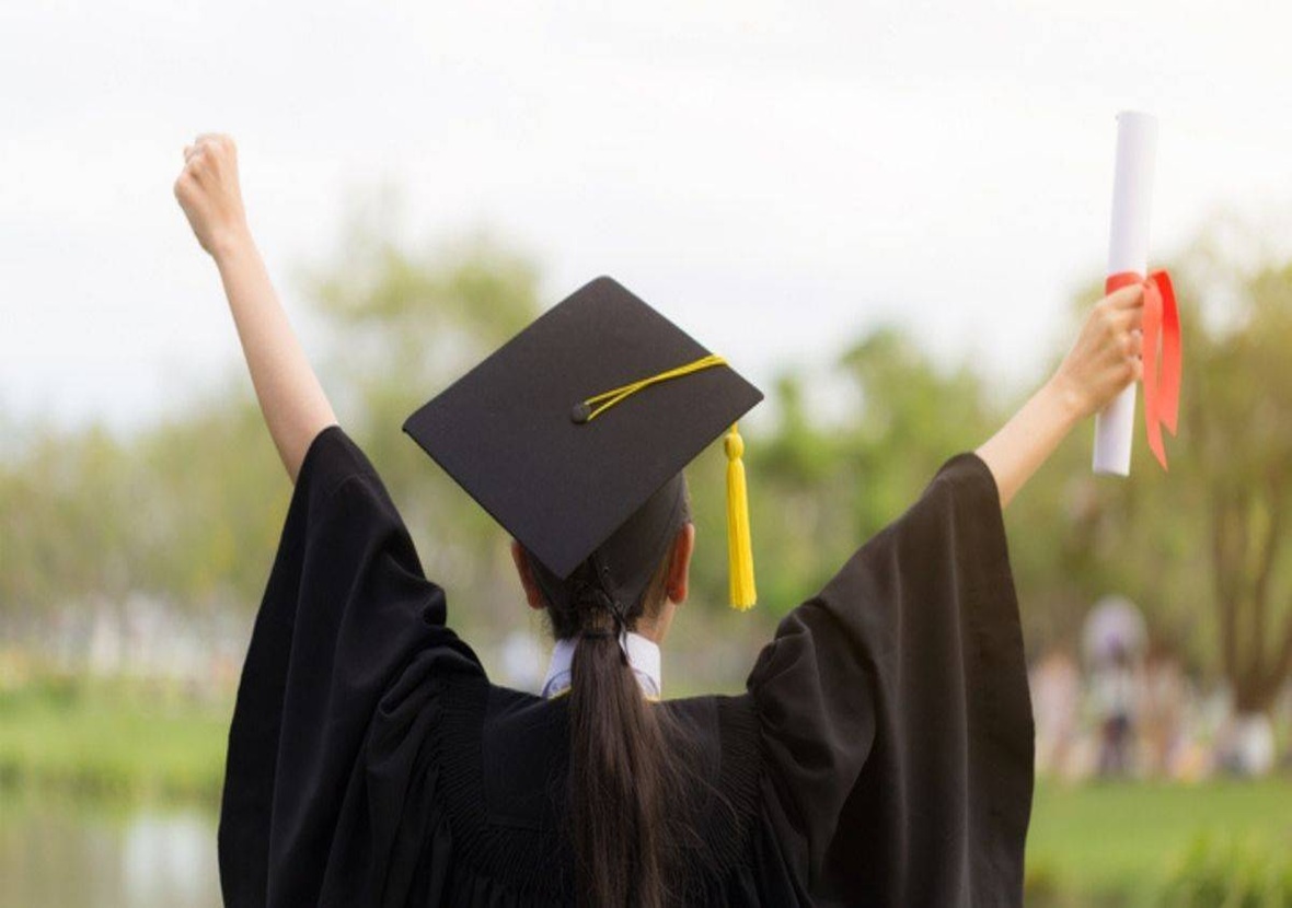 Best Law Schools