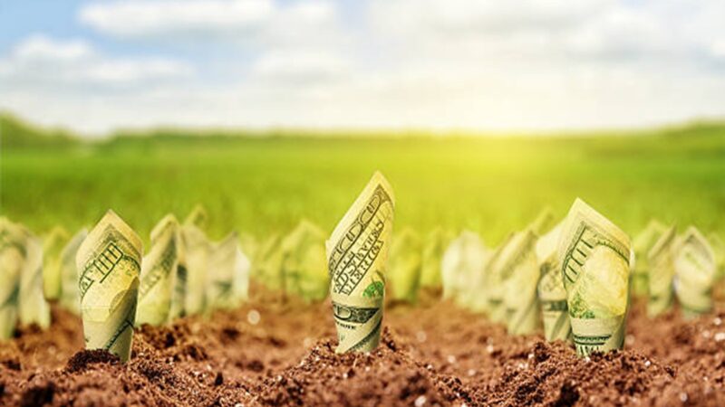 Stock photography earnings