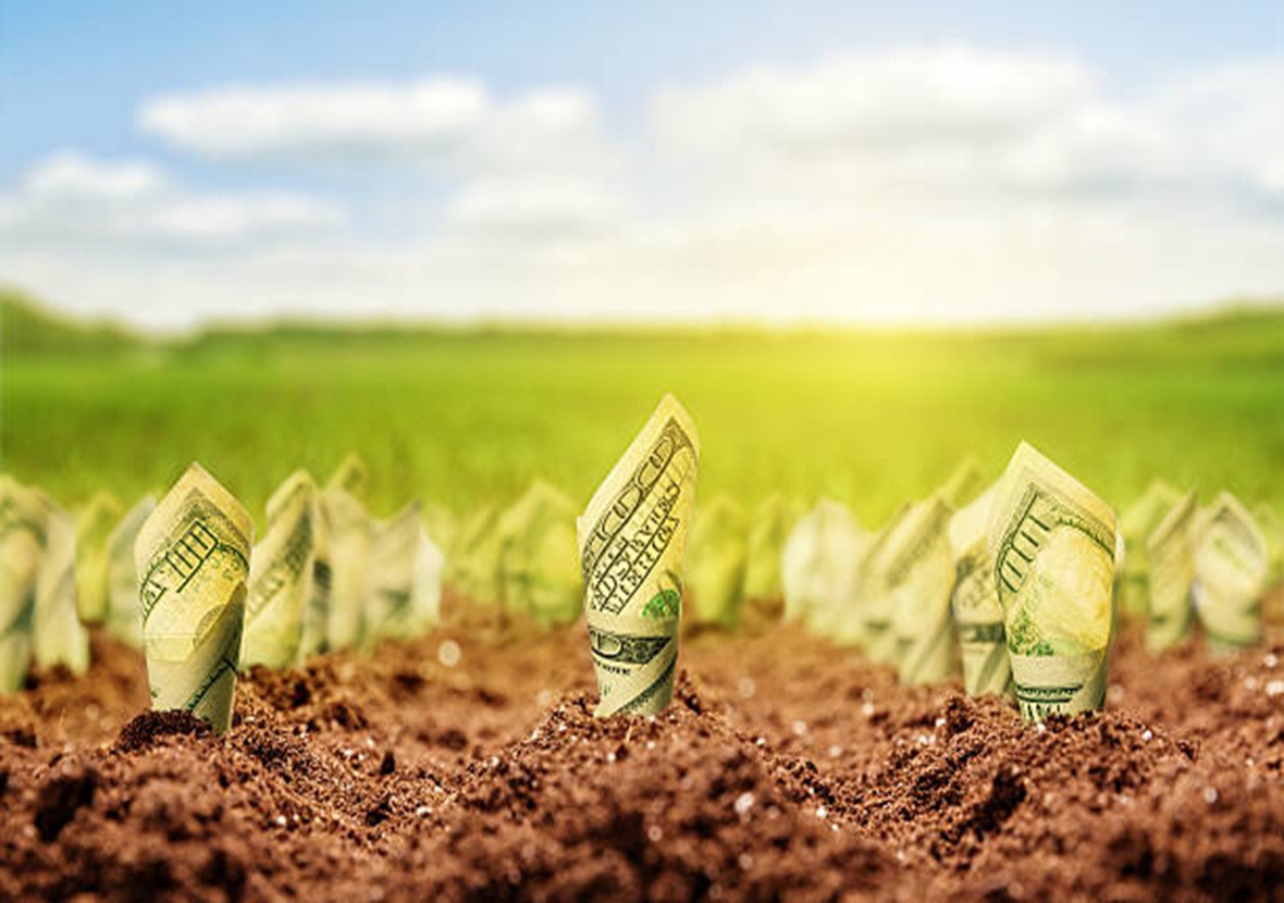 Turn Your Photos Into Passive Income With Stock Sites